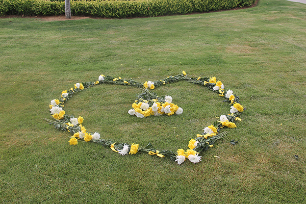 1497799555123337.jpg IMG_6260.jpg