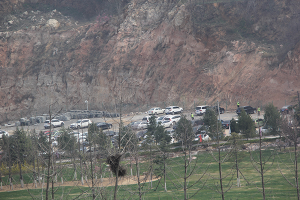 1491543480131367.jpg IMG_5319.jpg