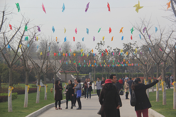 1491543468295929.jpg IMG_5300.jpg