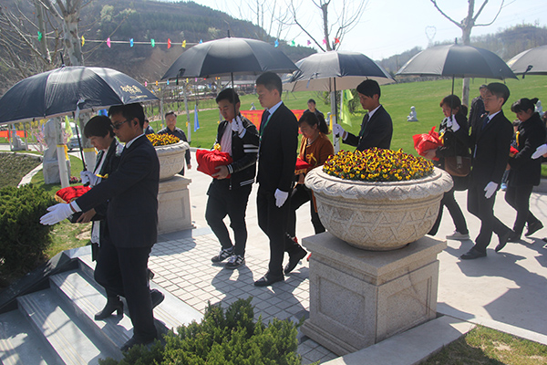 1491202741862012.jpg IMG_5292.jpg