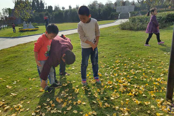 1509257574116052.jpg mmexport1509249966345.jpg