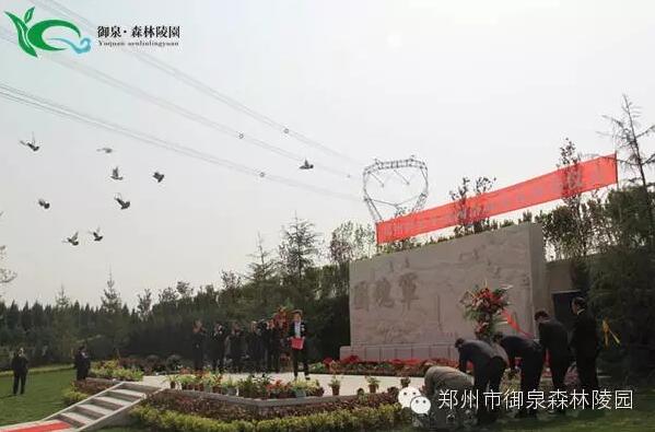 1462515468674178.jpg 5.jpg