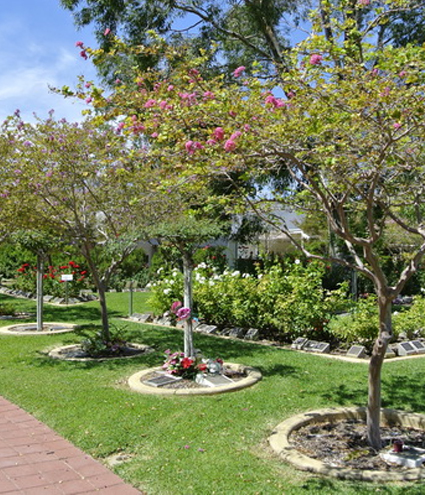 1450330530109094.jpg 樹(shù)葬01.jpg