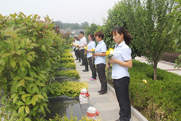 1497799533366243.jpg IMG_6295.jpg