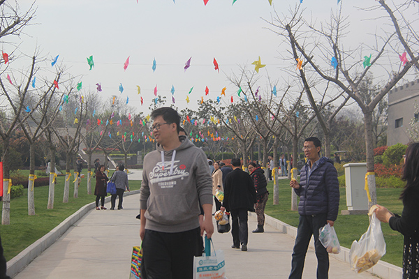 1491543475129276.jpg IMG_5299.jpg